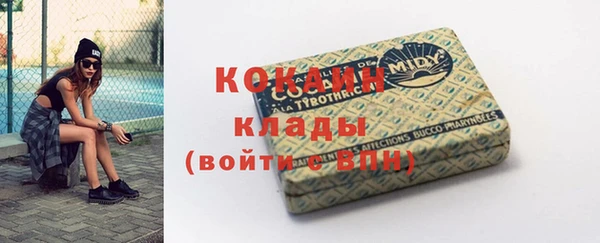 шишки Михайловск