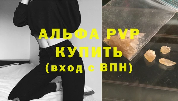 шишки Михайловск