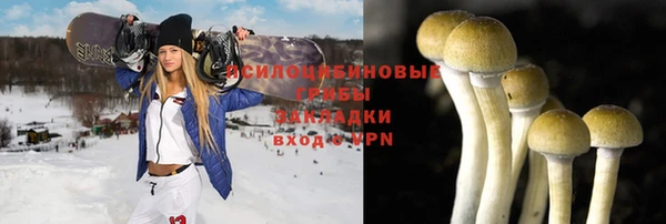 героин Михайлов