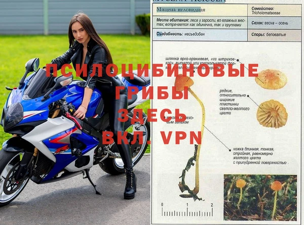 героин Михайлов
