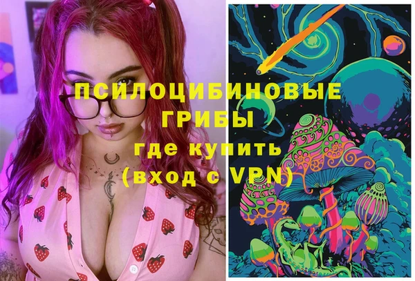 молекула духа Заволжье