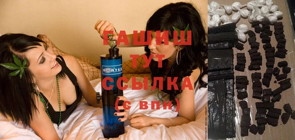 шишки Михайловск