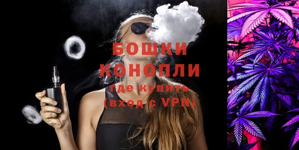 молекула духа Надым