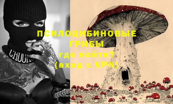 шишки Михайловск