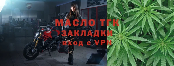 шишки Михайловск