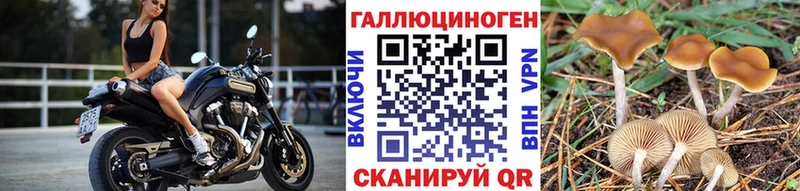 Галлюциногенные грибы Cubensis  Алексин 