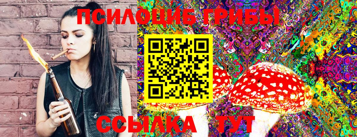 Галлюциногенные грибы Cubensis Алексин