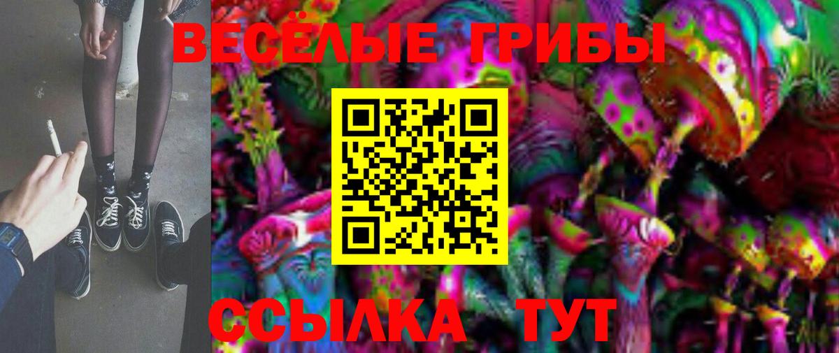 Алексин  Галлюциногенные грибы MAGIC MUSHROOMS  Псилоцибиновые грибы мицелий  Вход с VPN 