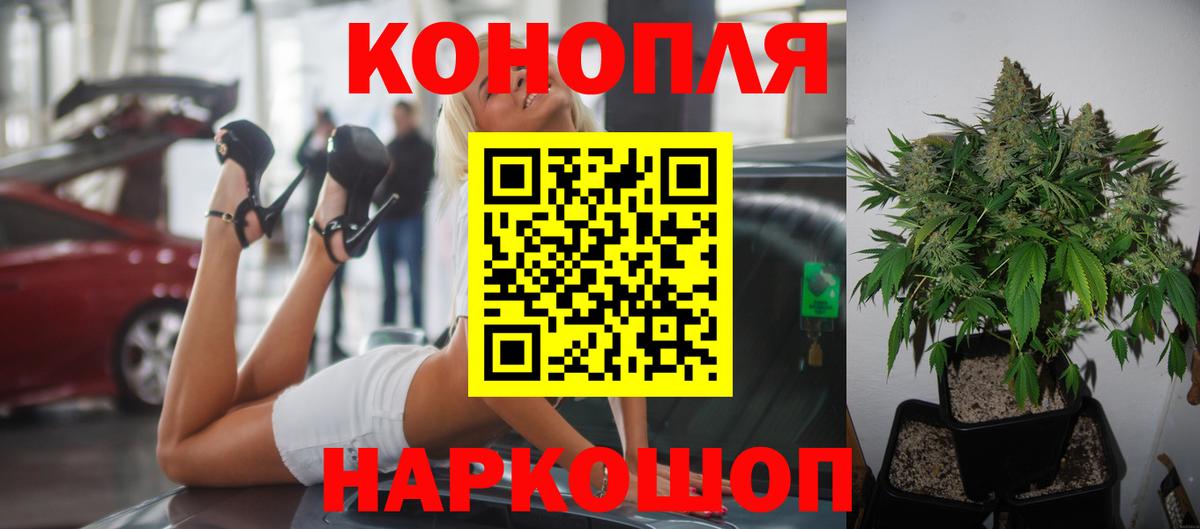 Каннабис ГИДРОПОН Алексин